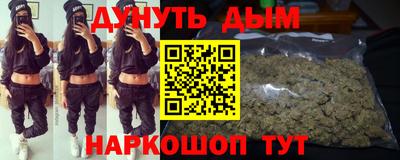 гашик Аргун