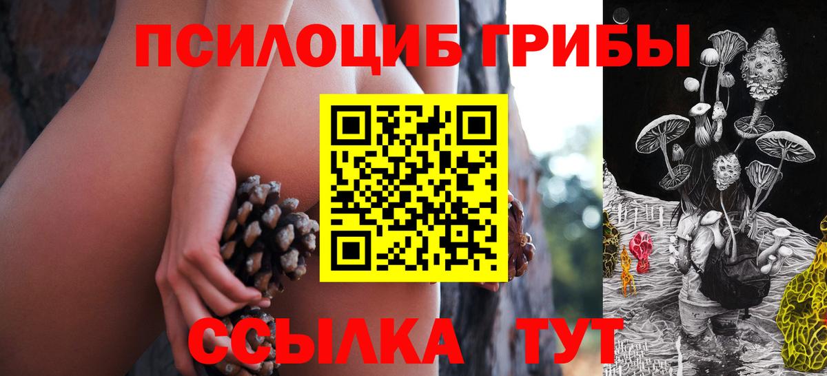 Артёмовский  Галлюциногенные грибы Psilocybe  Вход с VPN 